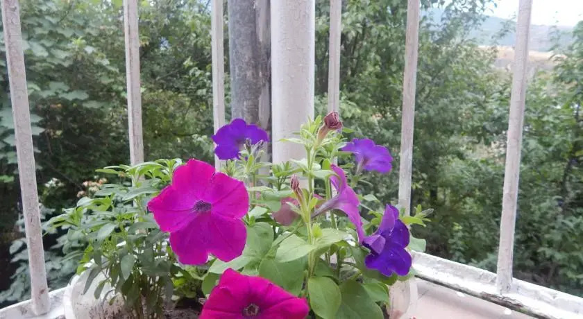 Siram B&b - фото 8