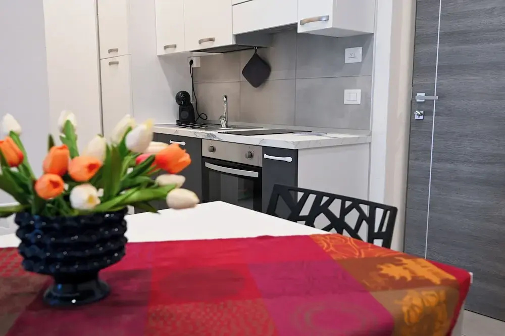 Comfort Apartment with mountain view