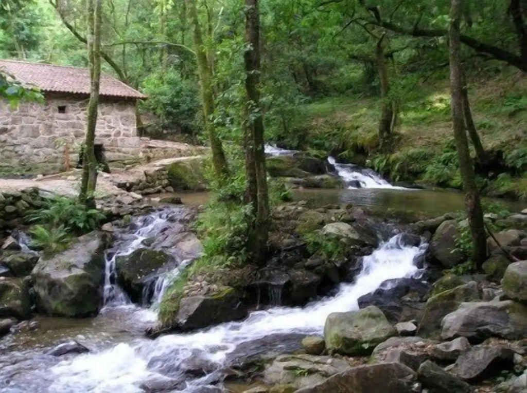 San Marcos - Général