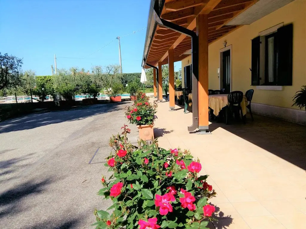 Hotel photo 11