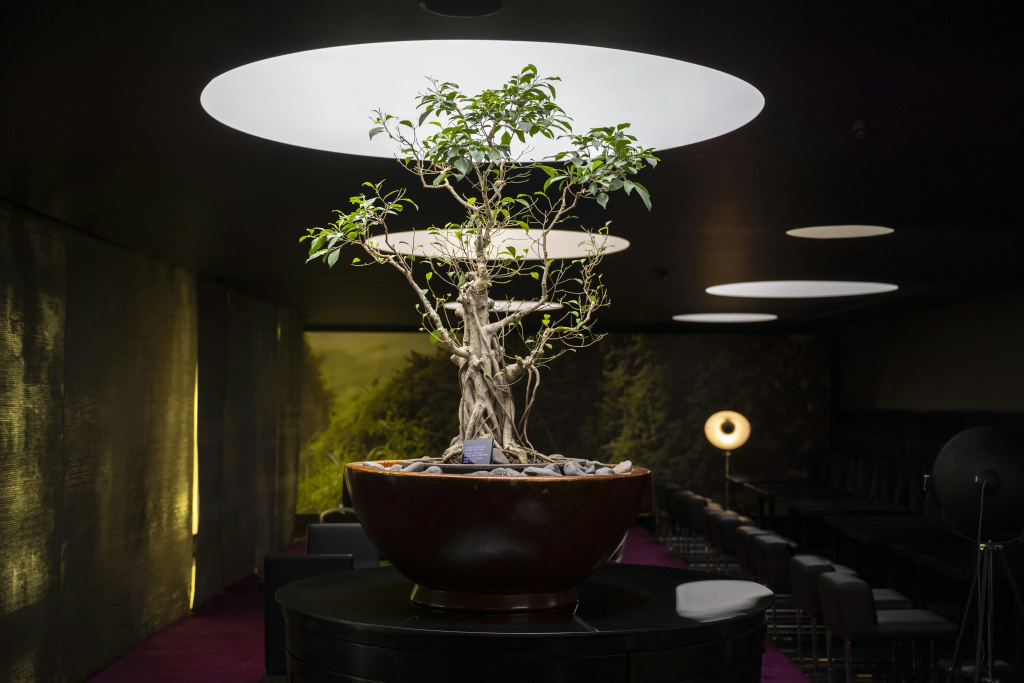 DoubleTree by Hilton Hotel Lisbon - Fontana Park - Général