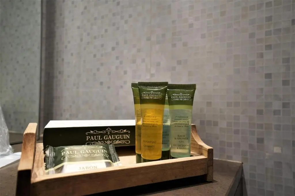 Xalet Bringue Hotel & Spa - Chambres