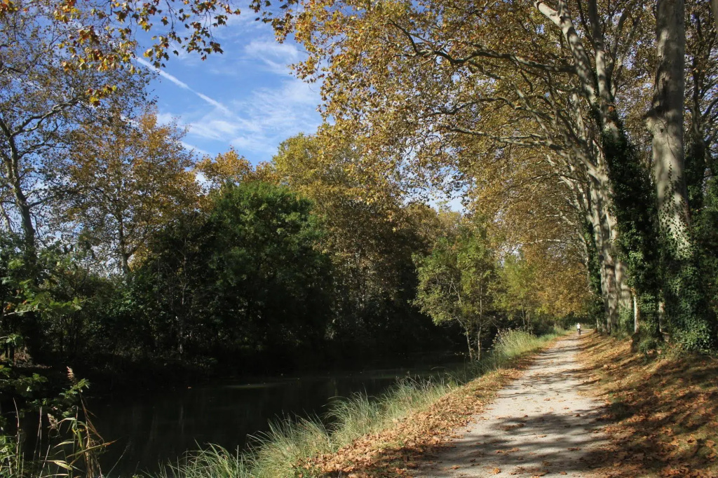 Lidotel - Général
