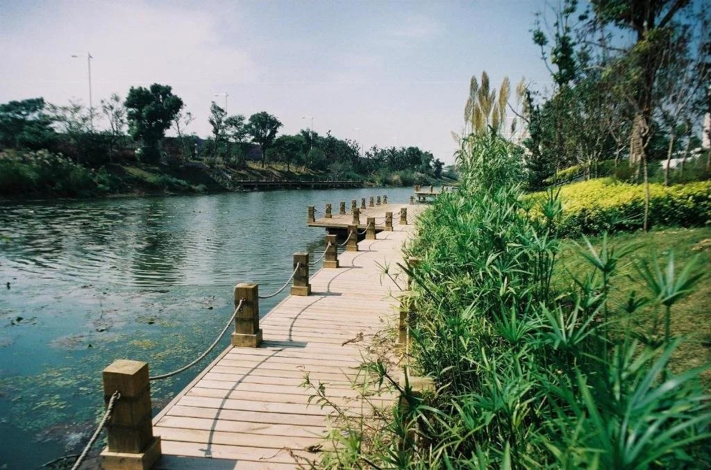Beach & Waterfront