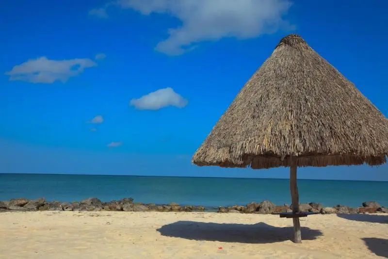 Beach & Waterfront