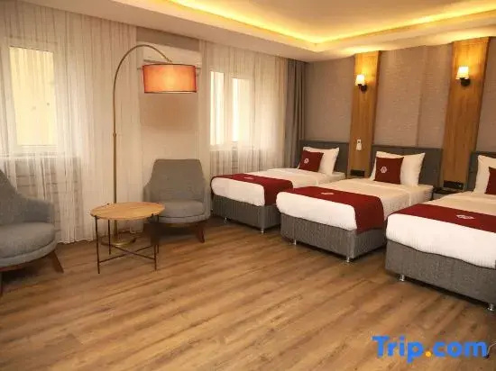 Standard Triple Family room