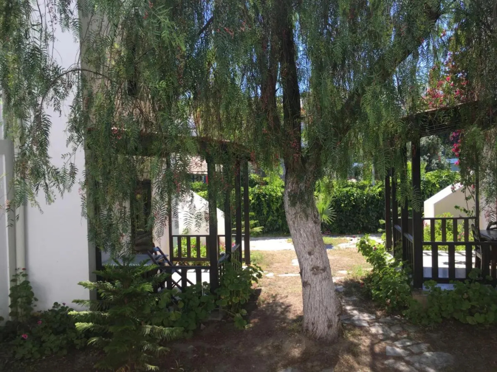 Hotel photo 49