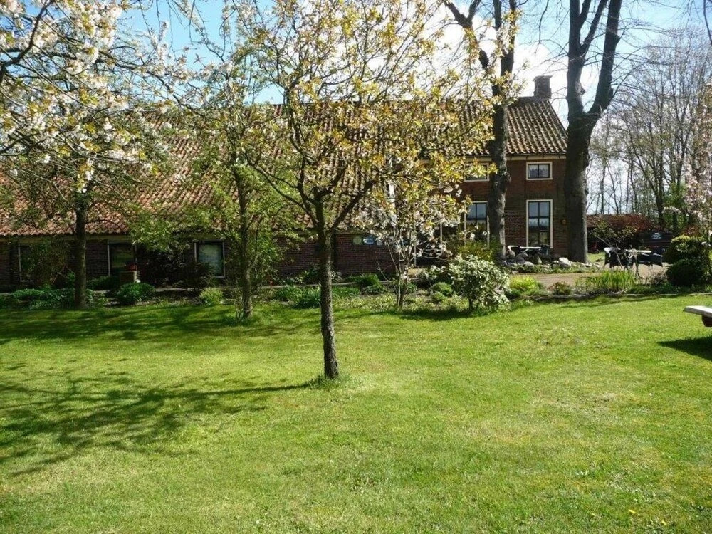 Image 16