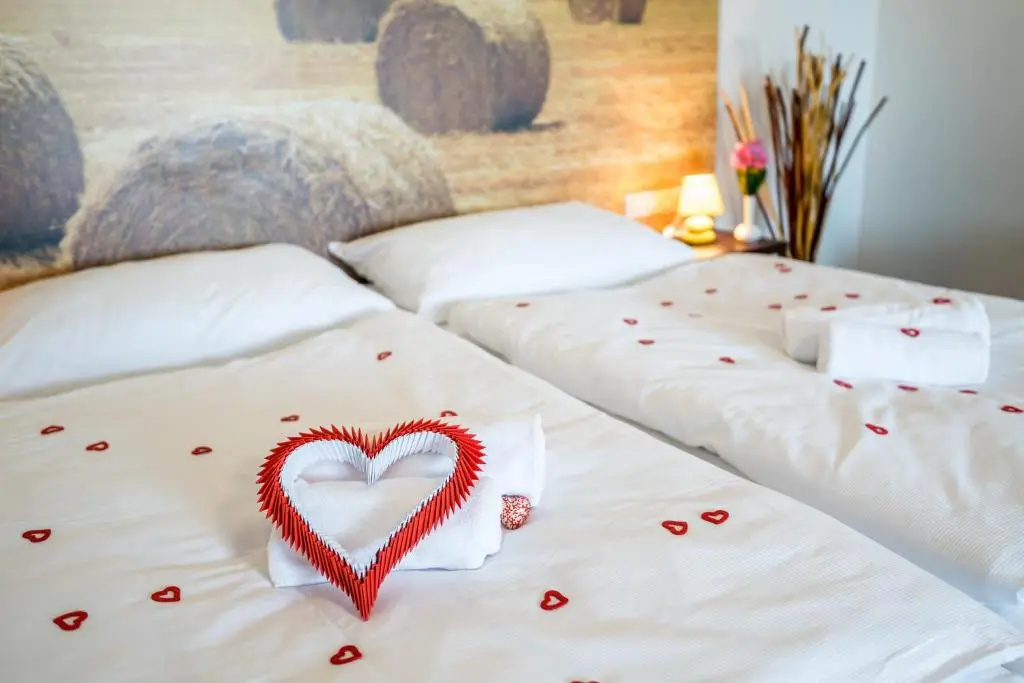 Hotel Na Farmě Choťovice - Chambres