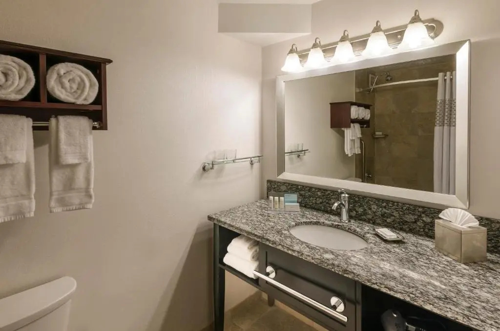 Homewood Suites by Hilton Chicago Downtown/Magnificent Mile - Chambres