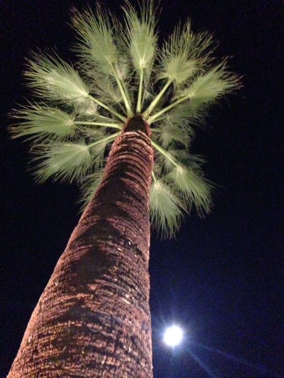 Beverly Laurel Hotel at West Hollywood - Général