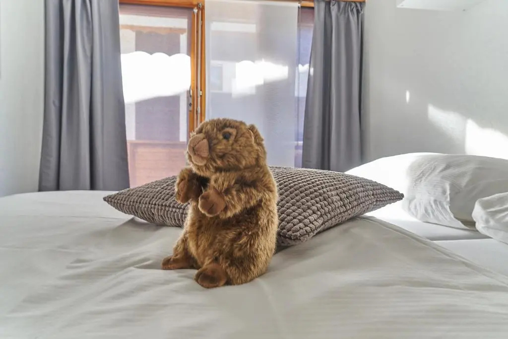 Hotel Marmotte - Chambres