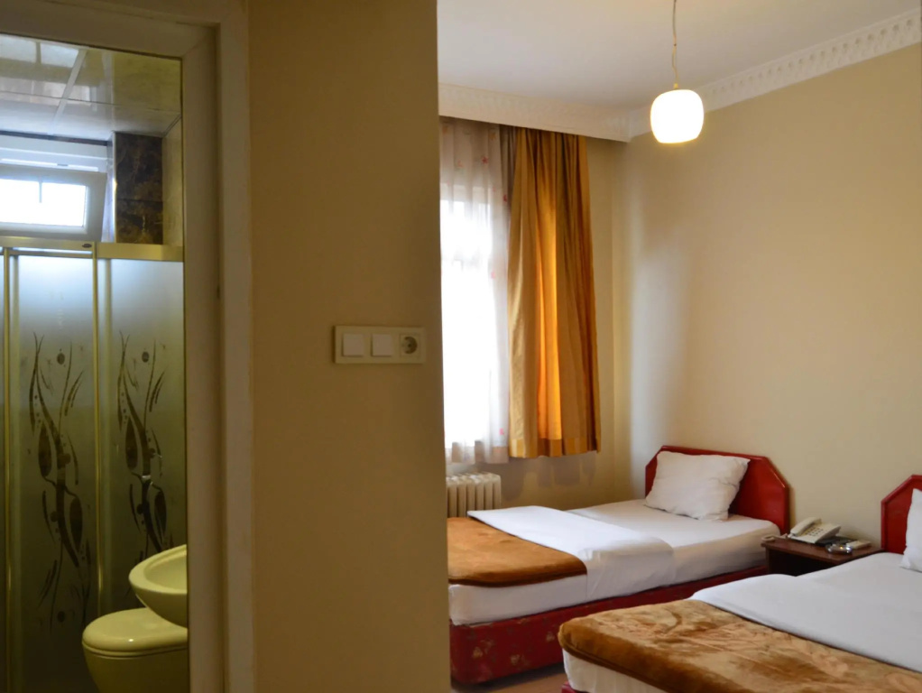 Standard Double room (twin beds)