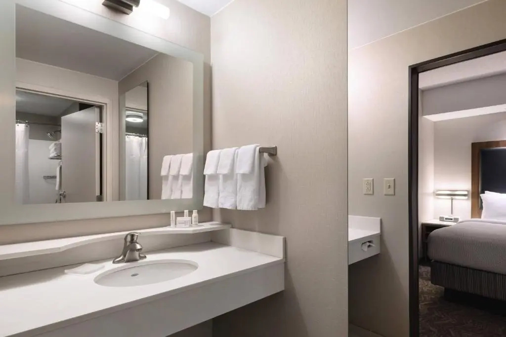 Springhill Suites by Marriott Syracuse Carrier Circle - Chambres