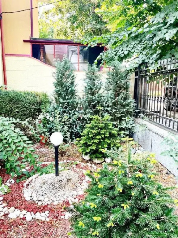 Apartament Roxana Eforie Nord