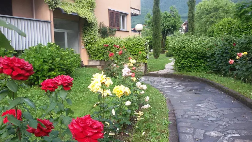 image url