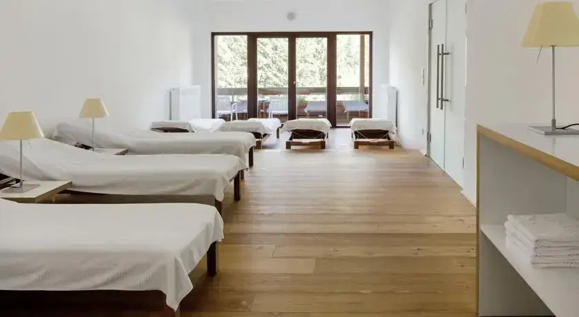 Hotel Chalet Wetzlgut - Général