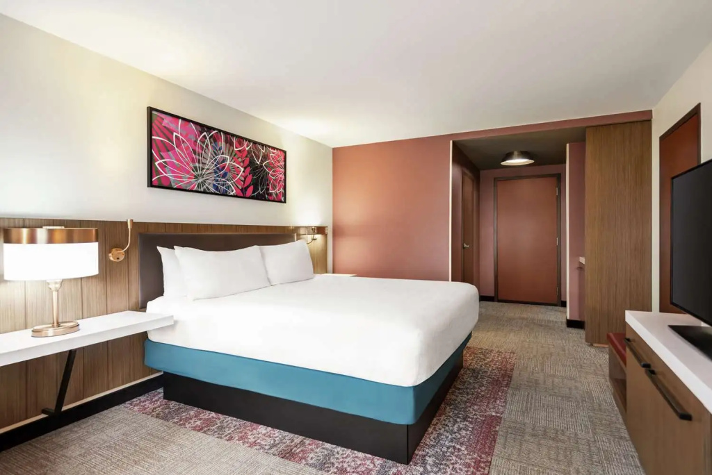 Hilton Garden Inn Atlanta South/McDonough - Chambres
