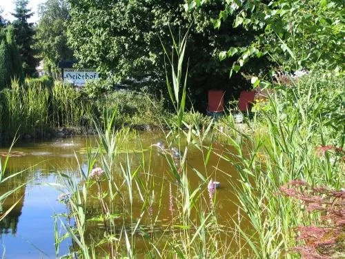 Heidehof Moraas - Général
