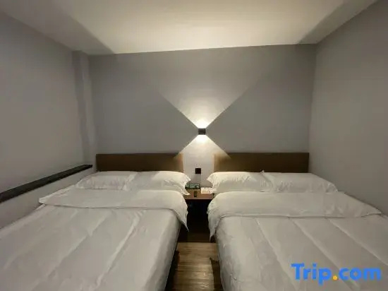 Deluxe Double room (twin beds)