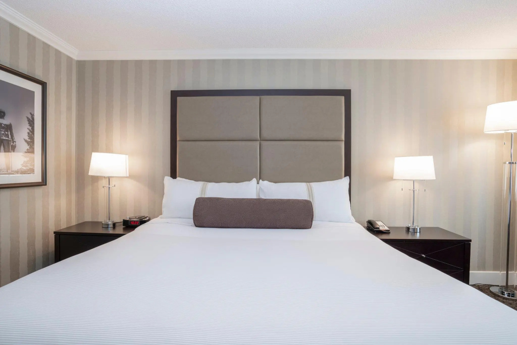 Premium Double room (full double bed)