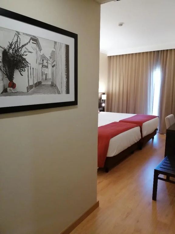 Hotel Mónaco - Chambres