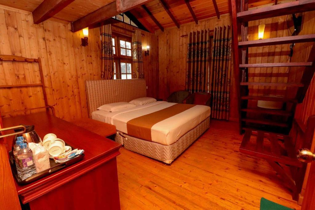 Alpine Hotel