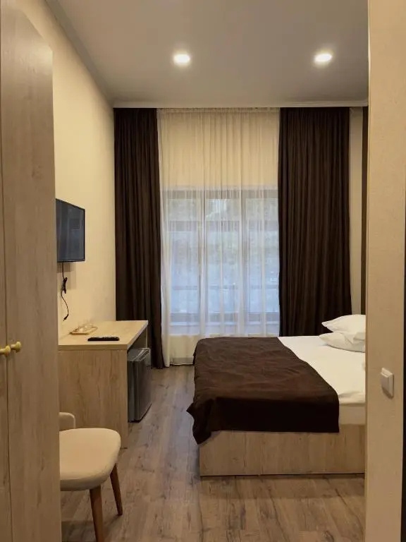 Standard Double room with mountain view (full double bed)