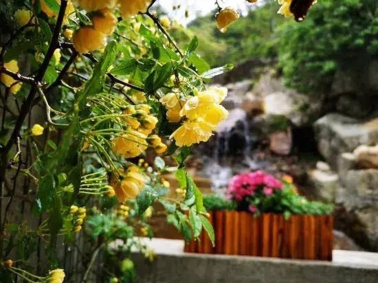papaWO Homestay