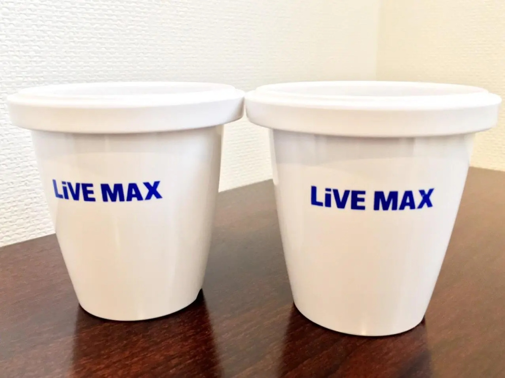 HOTEL LiVEMAX Higashi Ginza 사진 41