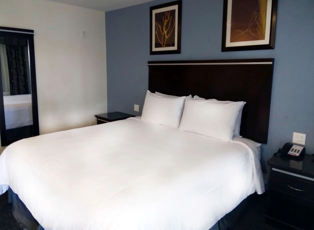 SureStay Hotel by Best Western Chula Vista San Diego Bay - 3
