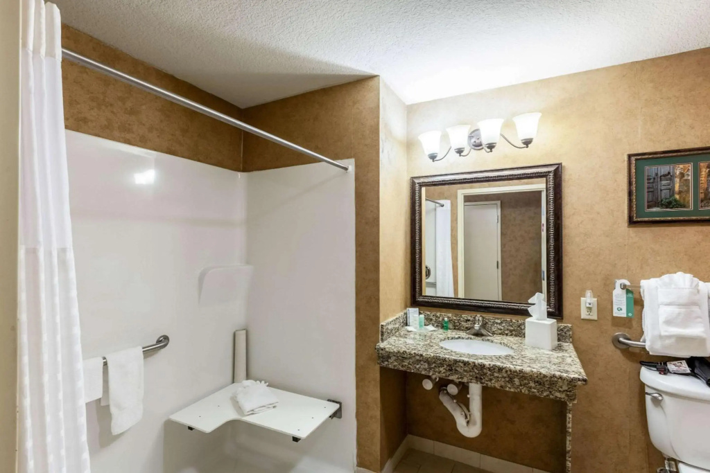 Comfort Suites Alamo - Riverwalk - Général