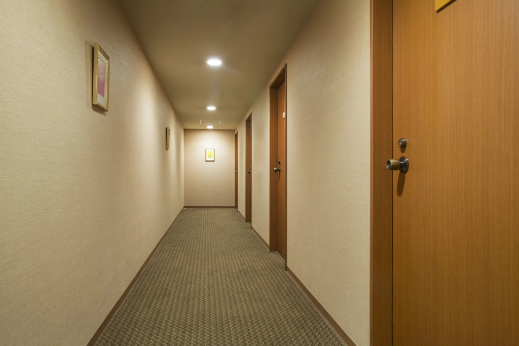 Hotel Wakamizu - Général