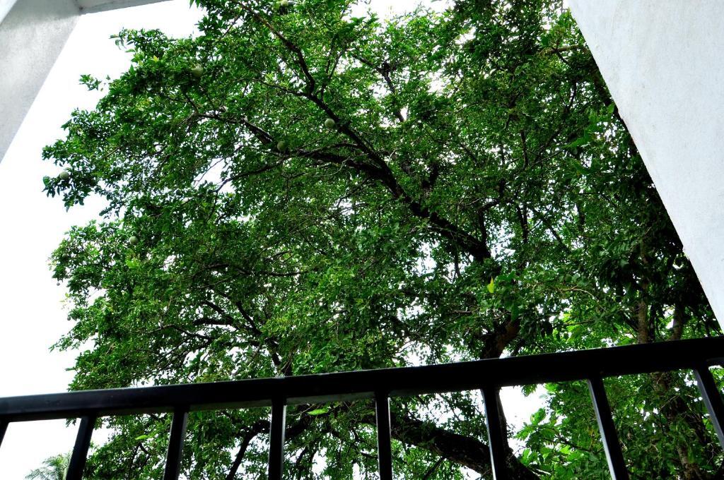 Oak Residencies