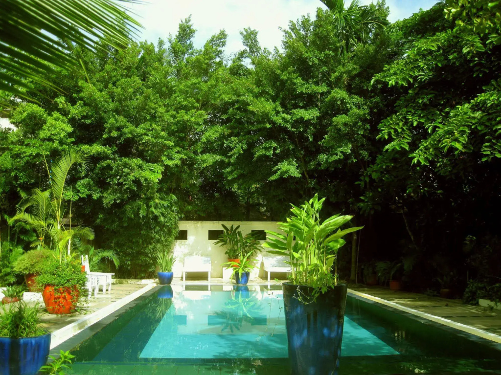 The Cockatoo Nature Resort & Spa - Général
