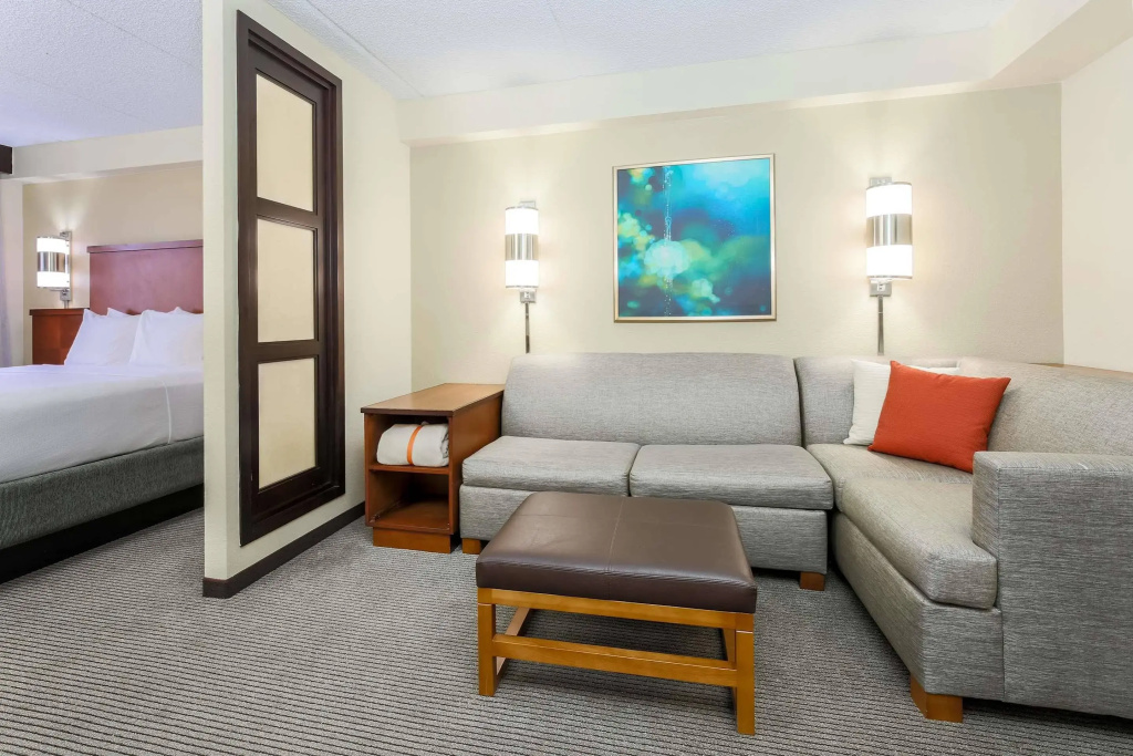 Hyatt Place Dallas/Grapevine - Général