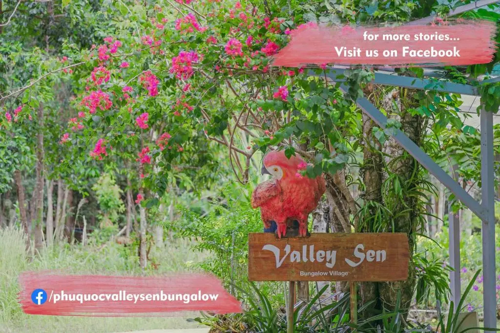 Valley Sen Bungalow