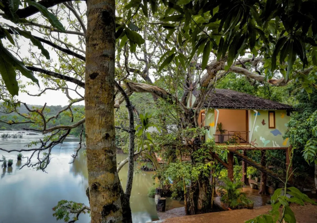 Whistling Woodzs Resort - Général