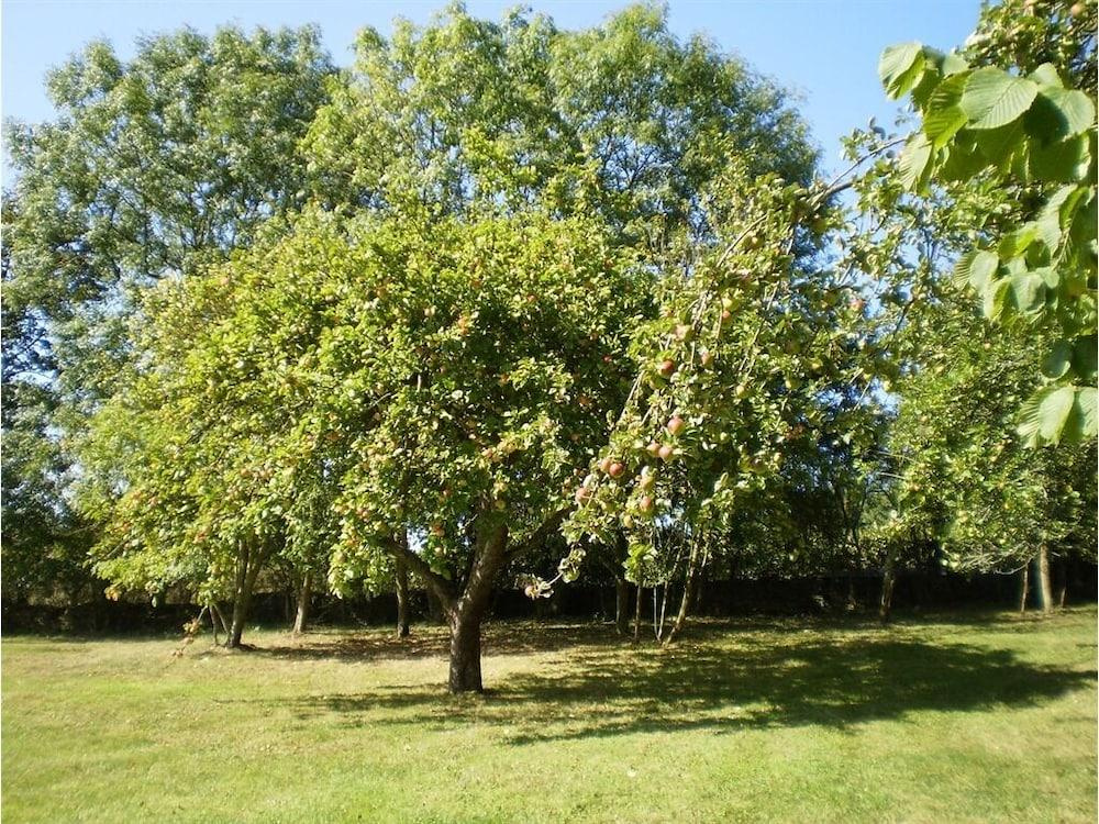 Chestnut Cottage B&B