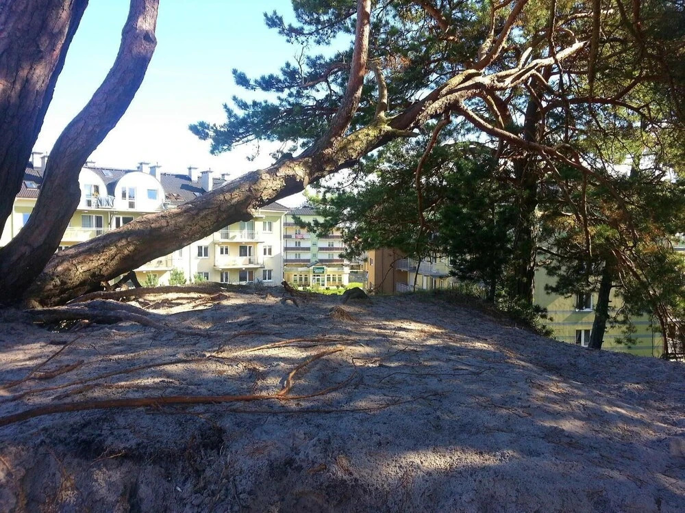 Apartamenty na Wydmie
