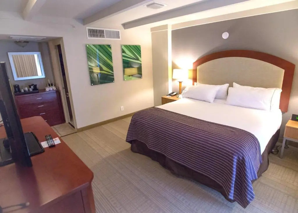 Hotel Indigo St Louis - Central West End by IHG - Chambres
