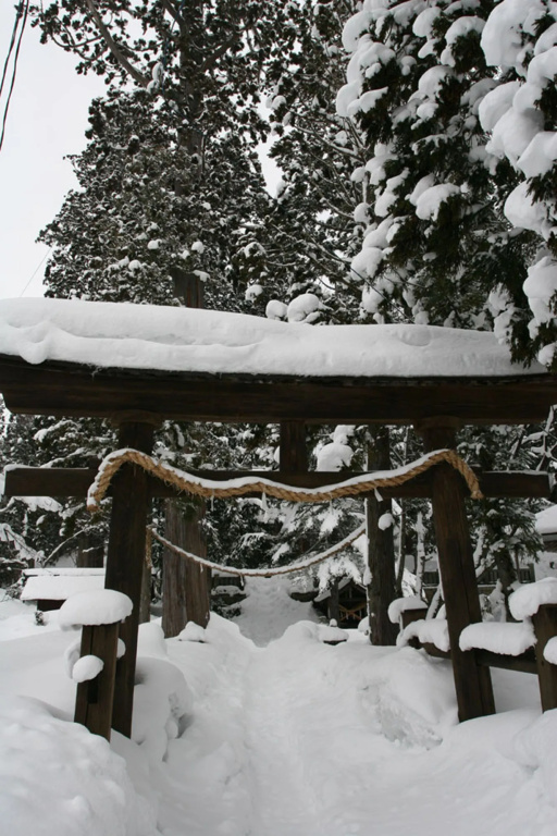 Balcony & Terrace