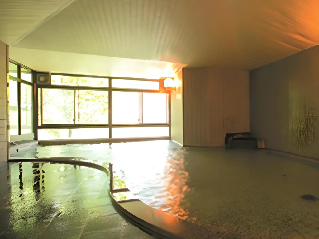 Sanyanagitei Ryokan - Général