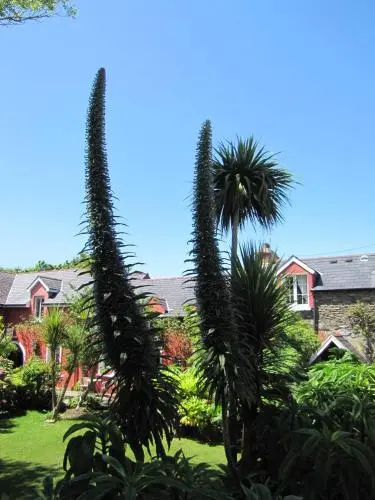 Rolfs Country House