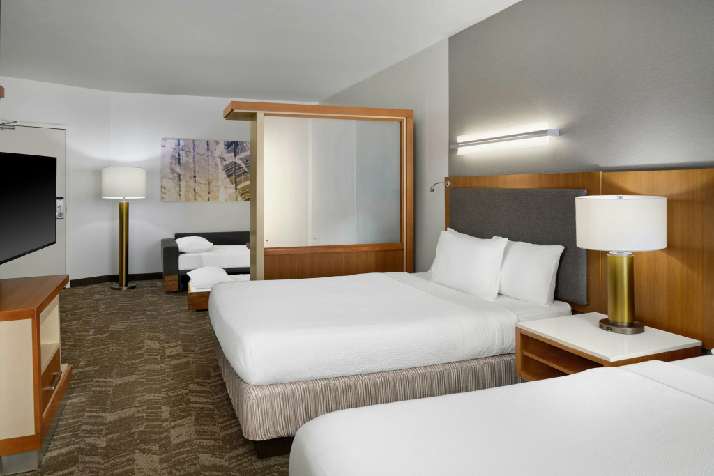 SpringHill Suites by Marriott Detroit Metro Airport Romulus - Général