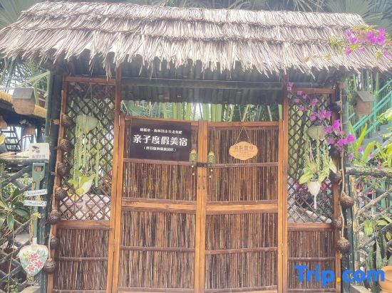 Olive Homestay in Jinghong, Xishuangbanna (located in the Dai Ethnic Minority Park Scenic Area)