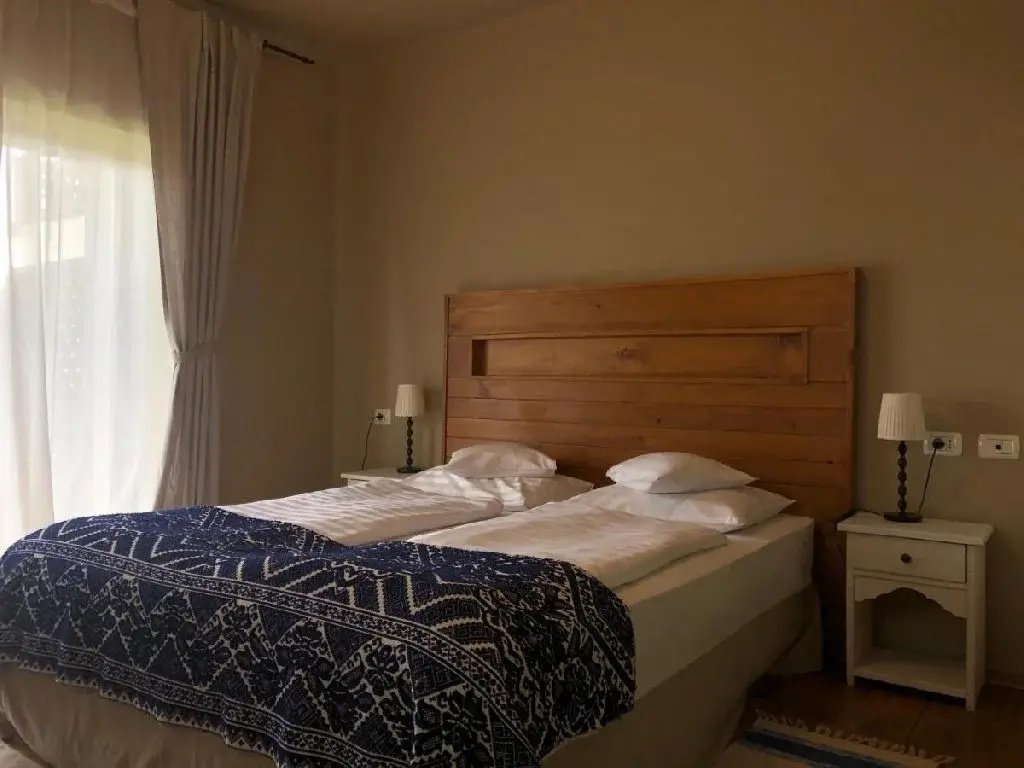 Bucovina Lodge Pension - Général