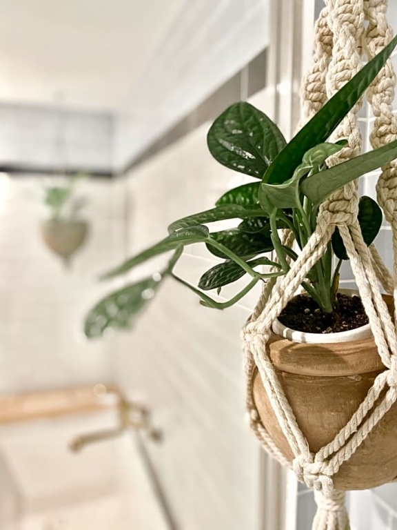 The Root2 Hotel 사진 14