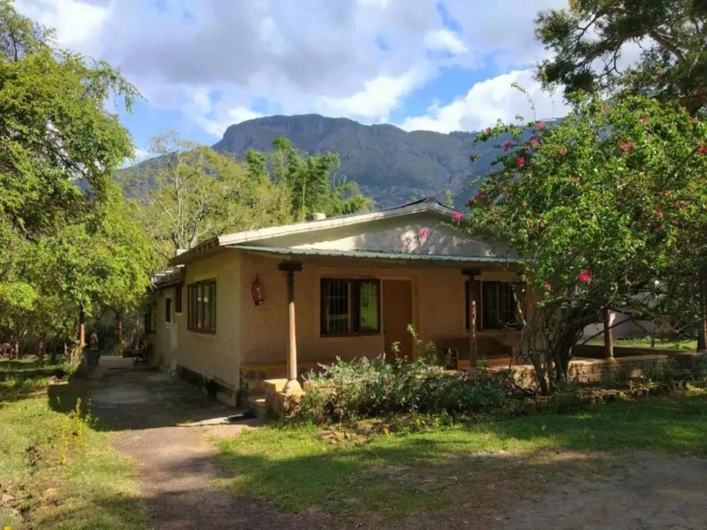Jungle Hut Resorts - Chambres