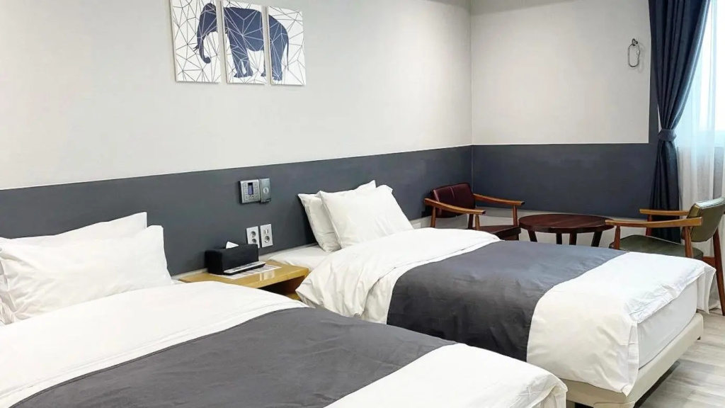 Standard Double room with city view (twin beds)